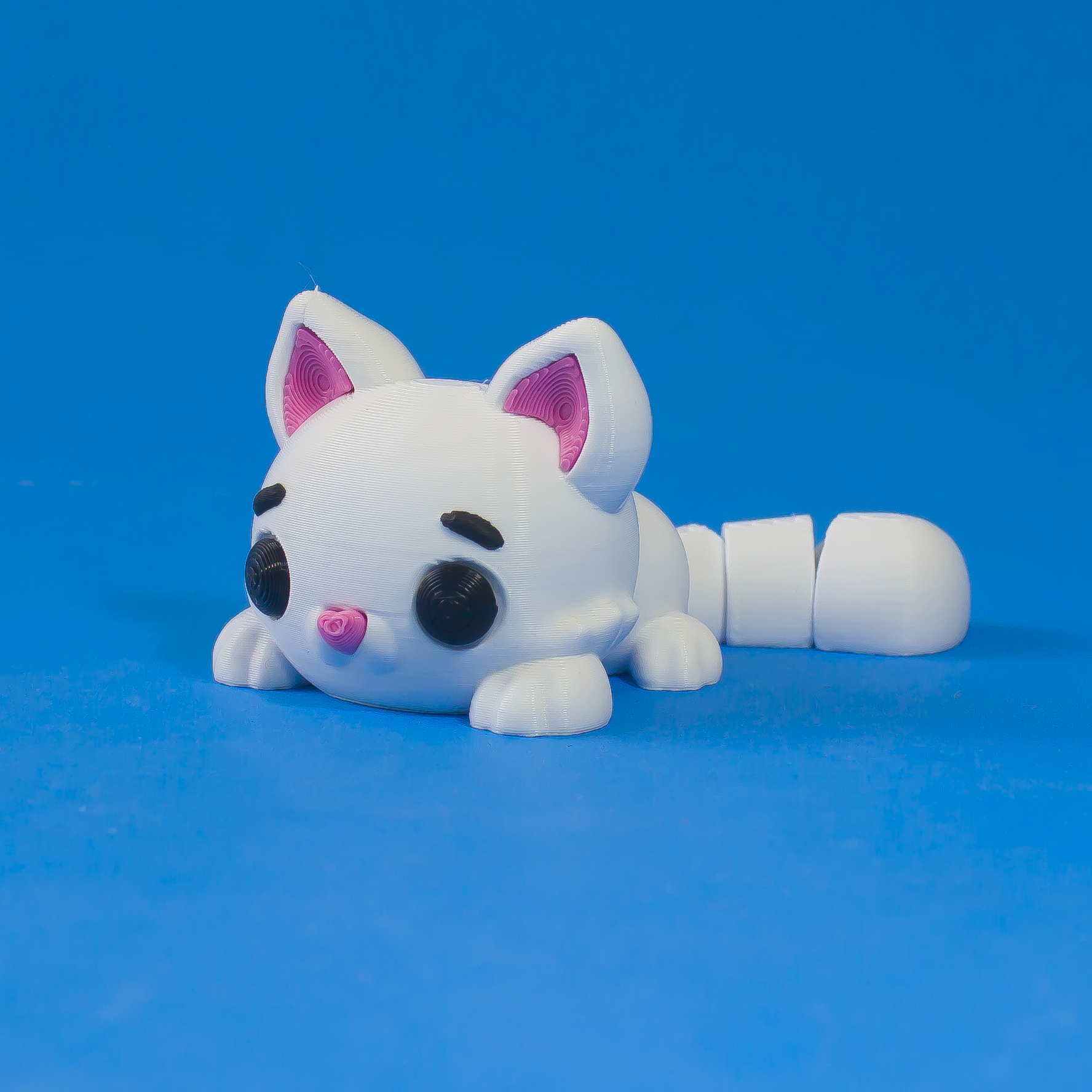灵活的猫