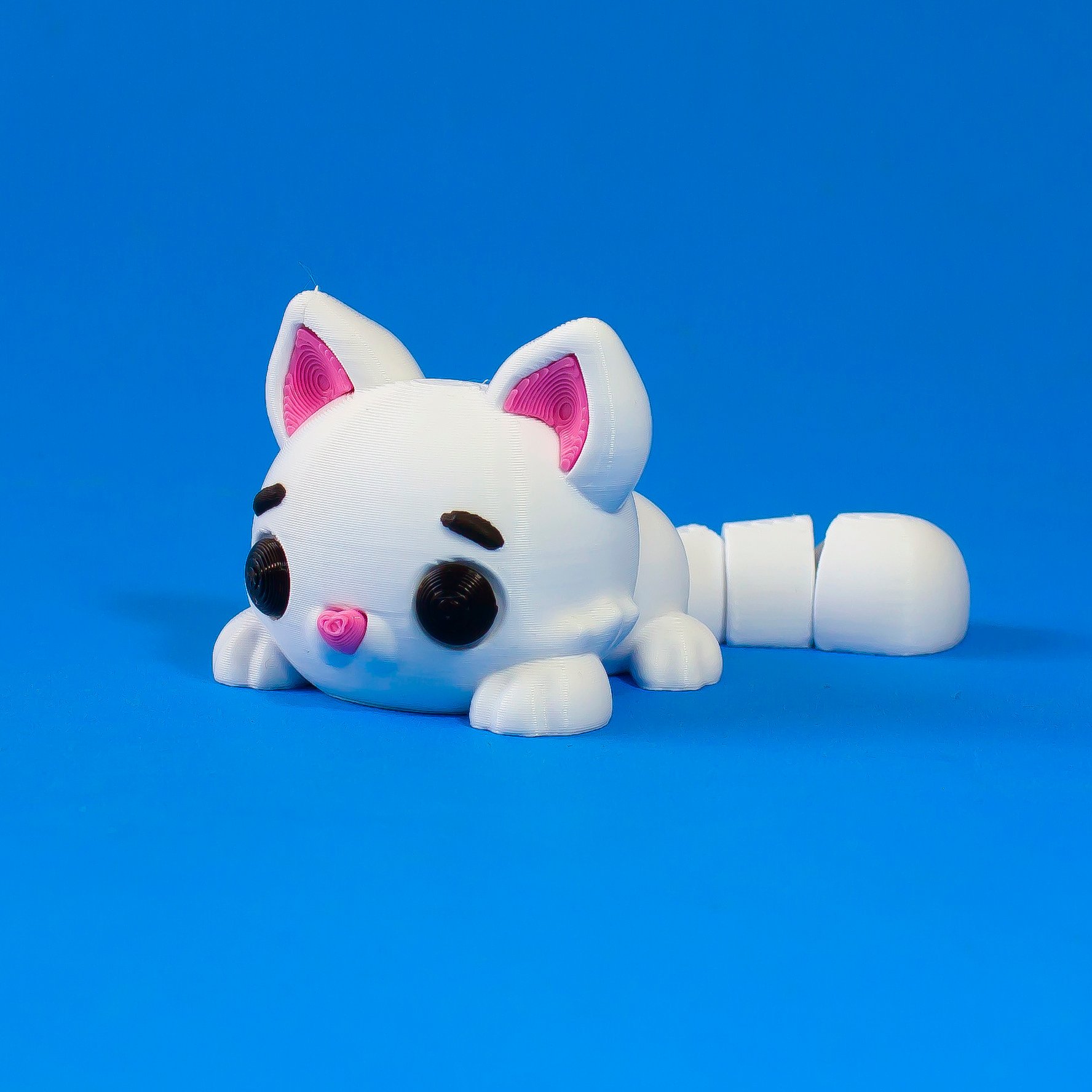 灵活的猫