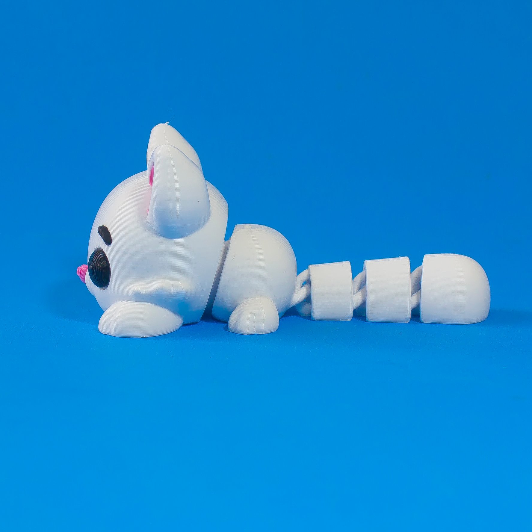 灵活的猫