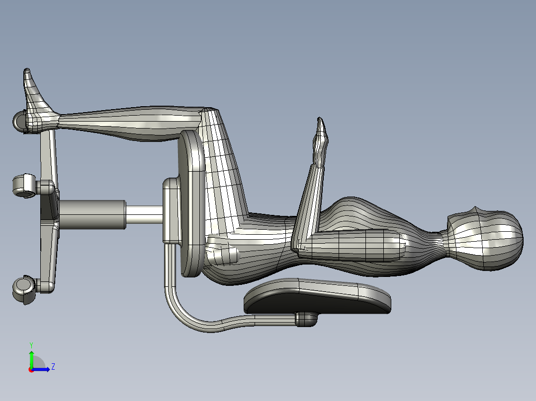 人体模型(44)左视图