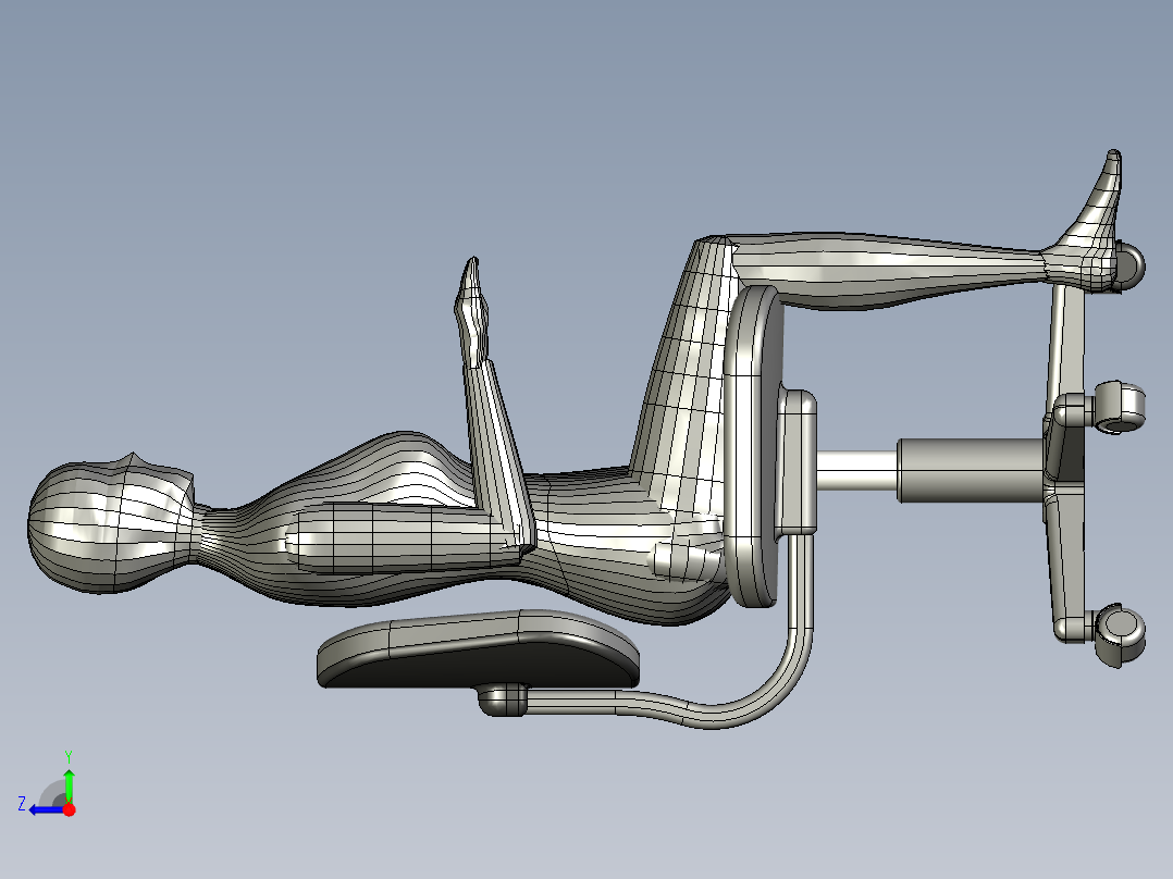 人体模型(44)右视图