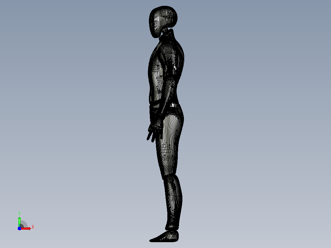 3D打印机男性身体模型前视图