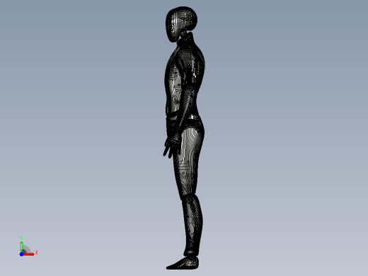 3D打印机男性身体模型前视缩略图