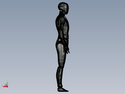 3D打印机男性身体模型后视缩略图