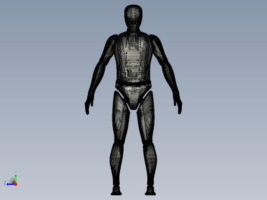 3D打印机男性身体模型右视缩略图