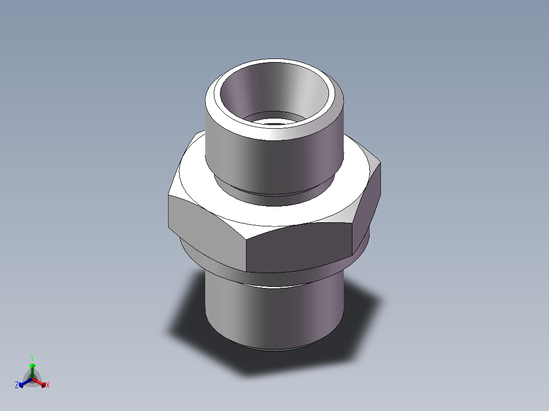 公制螺纹ED密封、1CM-16WD非标正等轴测图