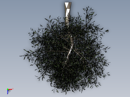 橄榄树俯视缩略图