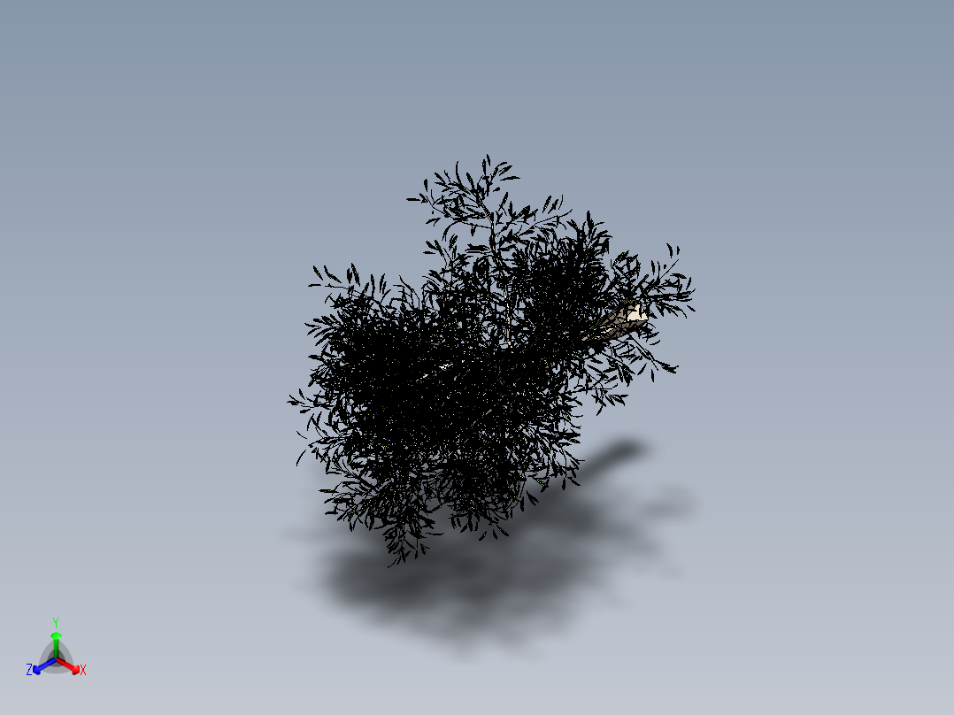 橄榄树正等轴测图