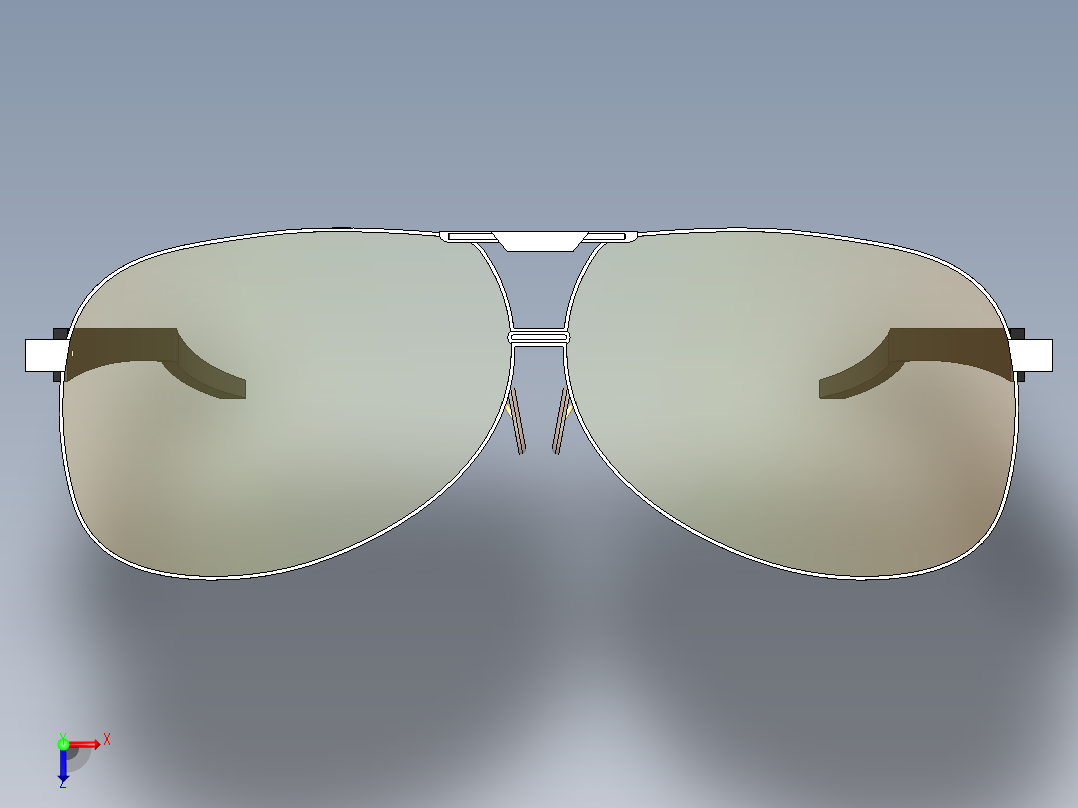 太阳眼镜SW2014俯视图