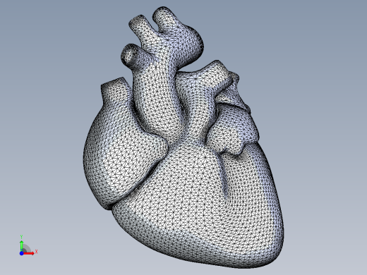 心脏前视缩略图