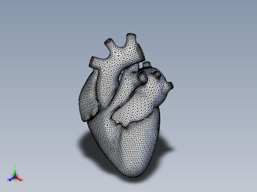 心脏正等轴测缩略图