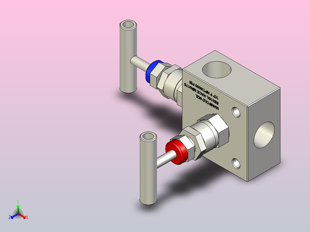 歧管阀M2L通1-2英寸NPT（F）AISI 316正等轴测图