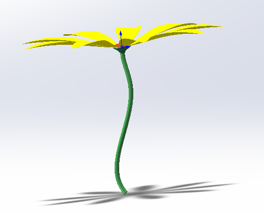 小黄花模型