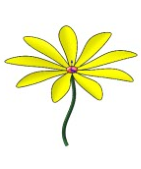 小黄花模型缩略图