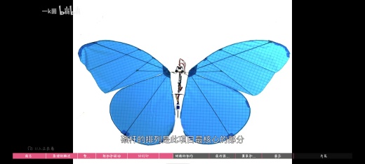 仿生蝴蝶缩略图