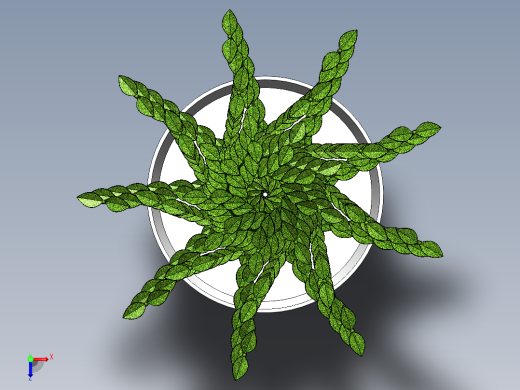 植物(67)俯视缩略图