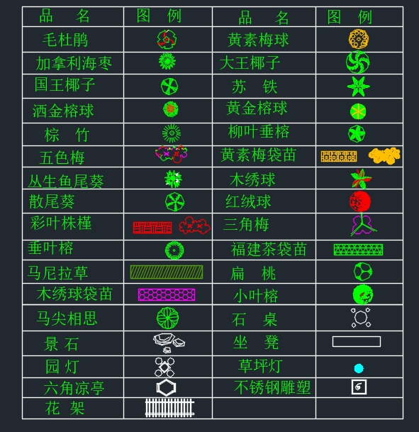 植物平面