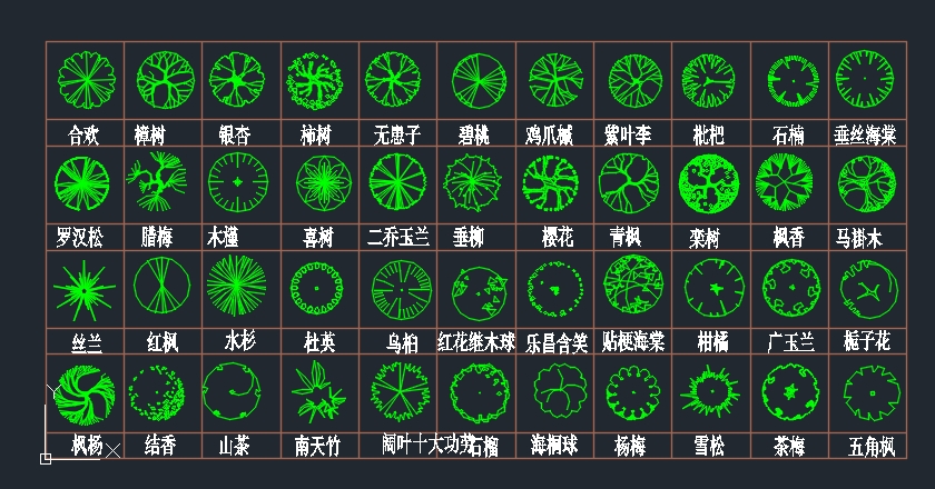 植物平面