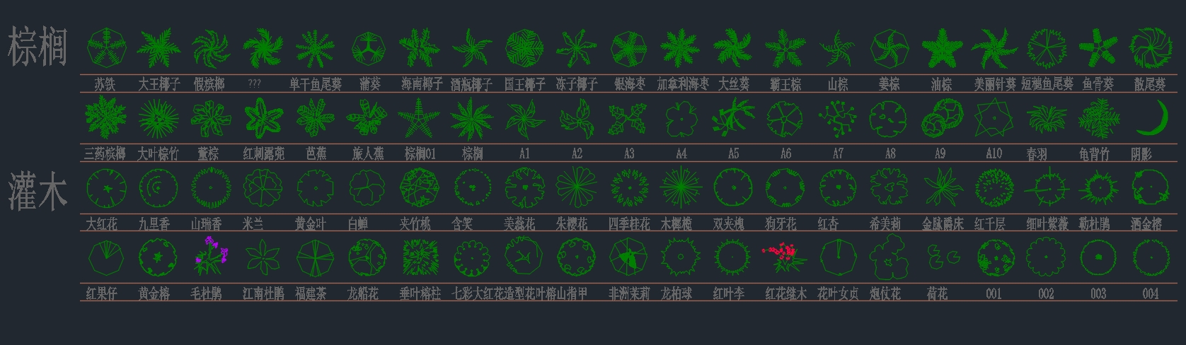 植物平面