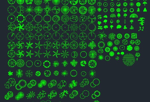 植物平面缩略图